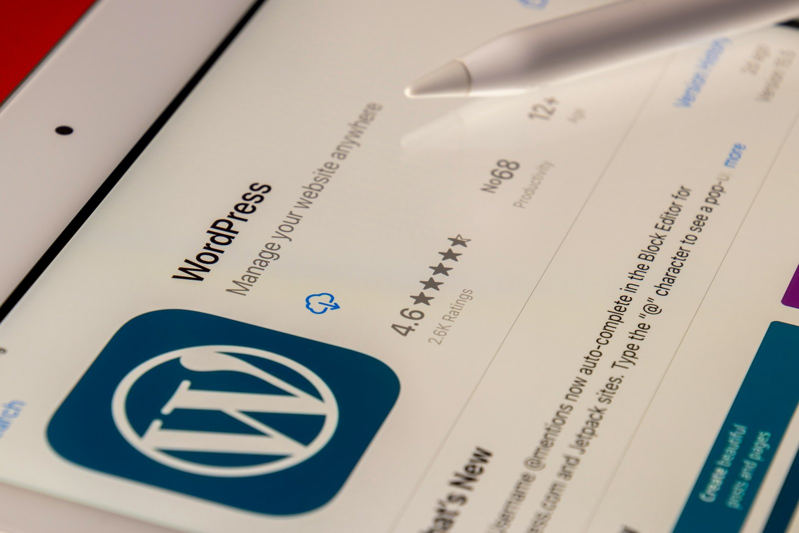 WordPress Solutions